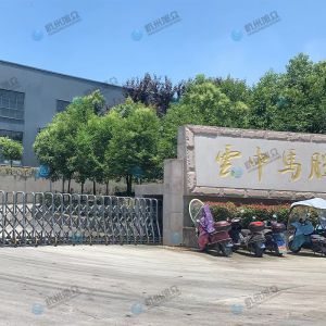 松陽的客戶，調(diào)試30型包子機完成！