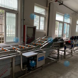 果蔬氣泡清洗機(jī)風(fēng)干流水線多少錢？